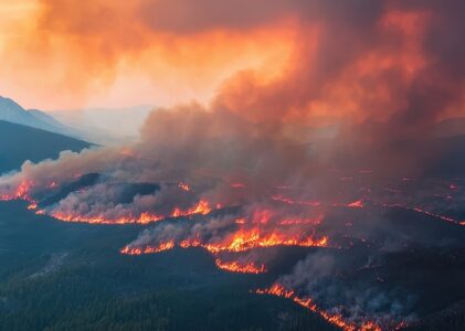 Proactive outage management engagement Convey case study