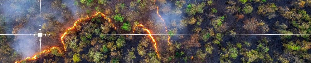 Wildfire season is here