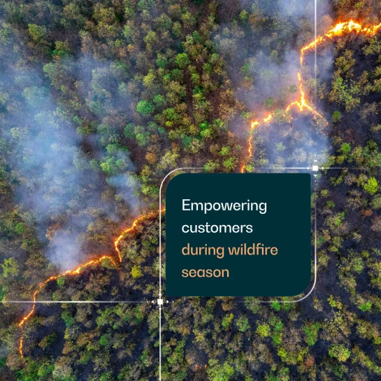 Wildfire season is here