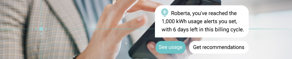 High usage alerts for utility customers