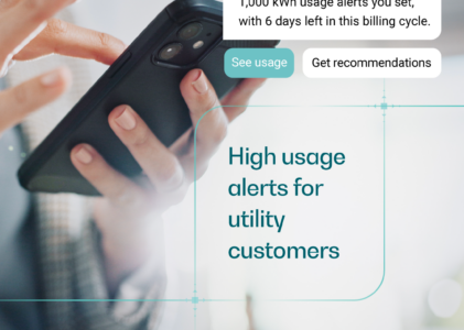 High usage alerts for utility customers