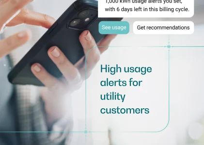 High usage alerts for utility customers